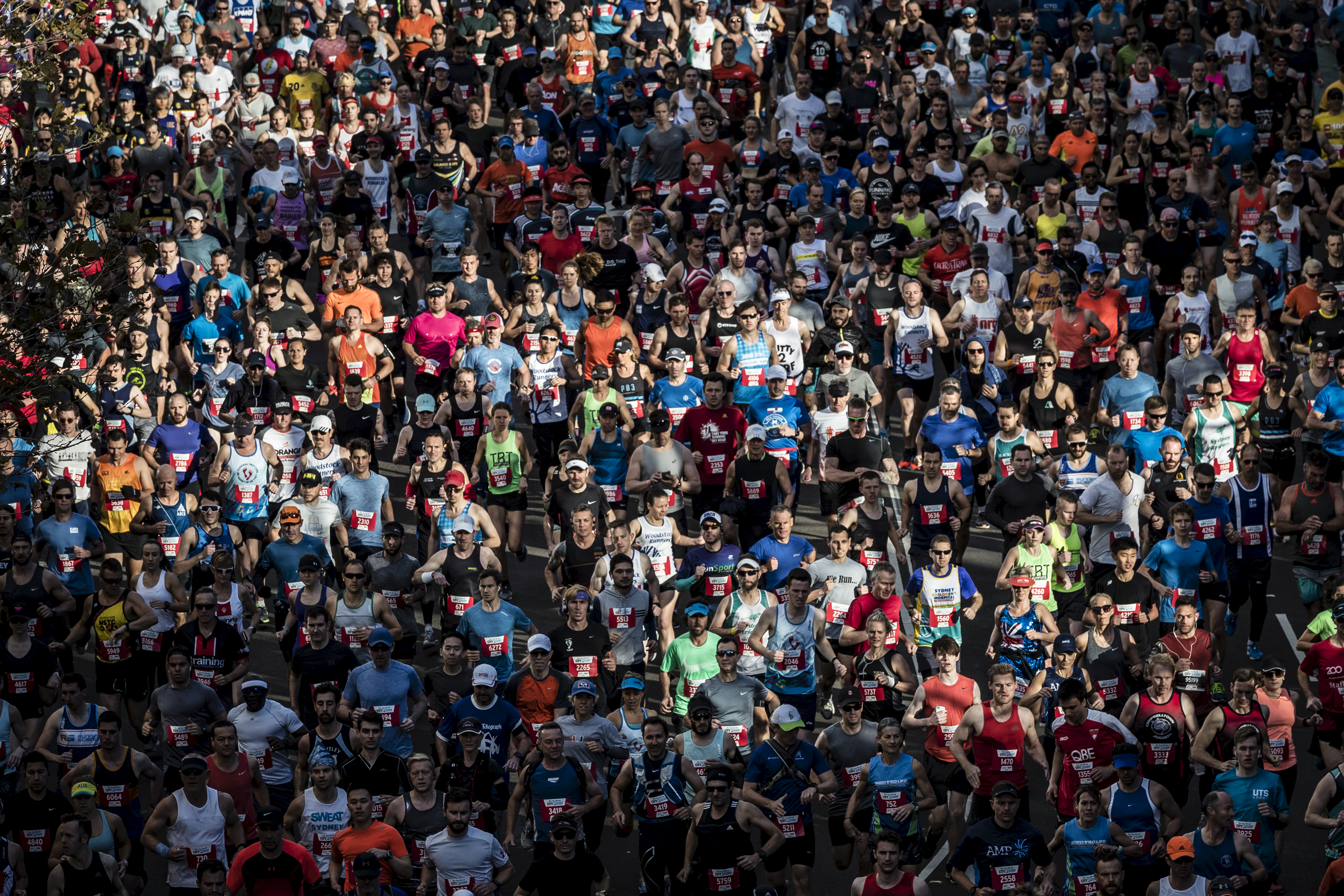 City2Surf: Live Broadcast